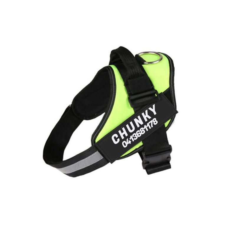 SafePaw Personalizable Dog Harness For Comfort And Safety