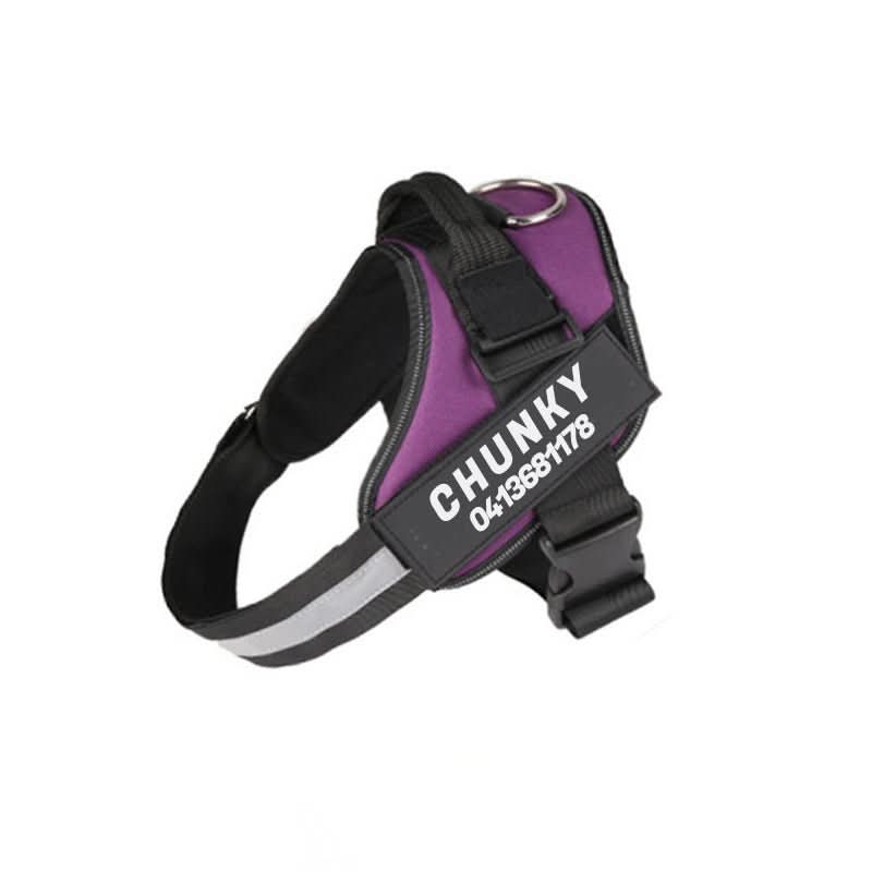 SafePaw Personalizable Dog Harness For Comfort And Safety