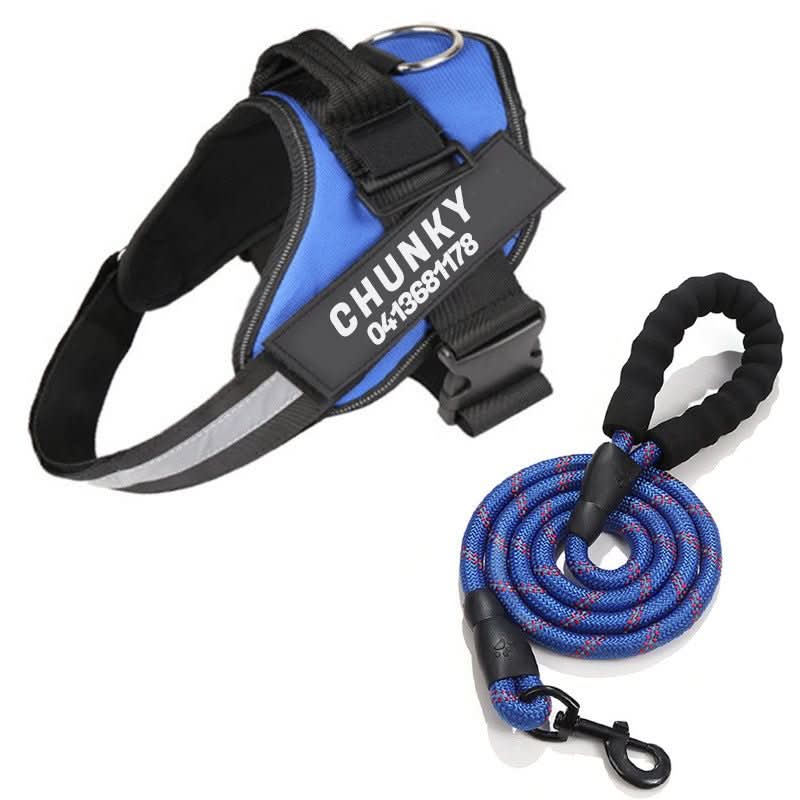 SafePaw Personalizable Dog Harness For Comfort And Safety