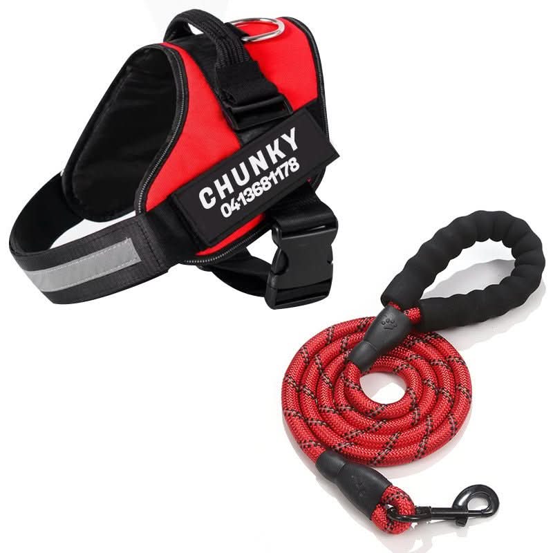 SafePaw Personalizable Dog Harness For Comfort And Safety