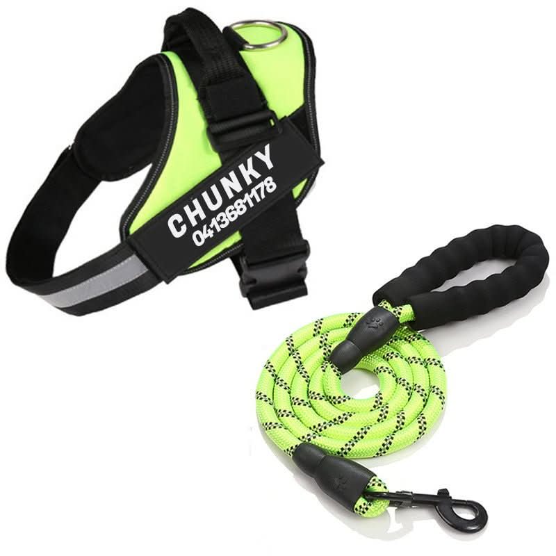 SafePaw Personalizable Dog Harness For Comfort And Safety