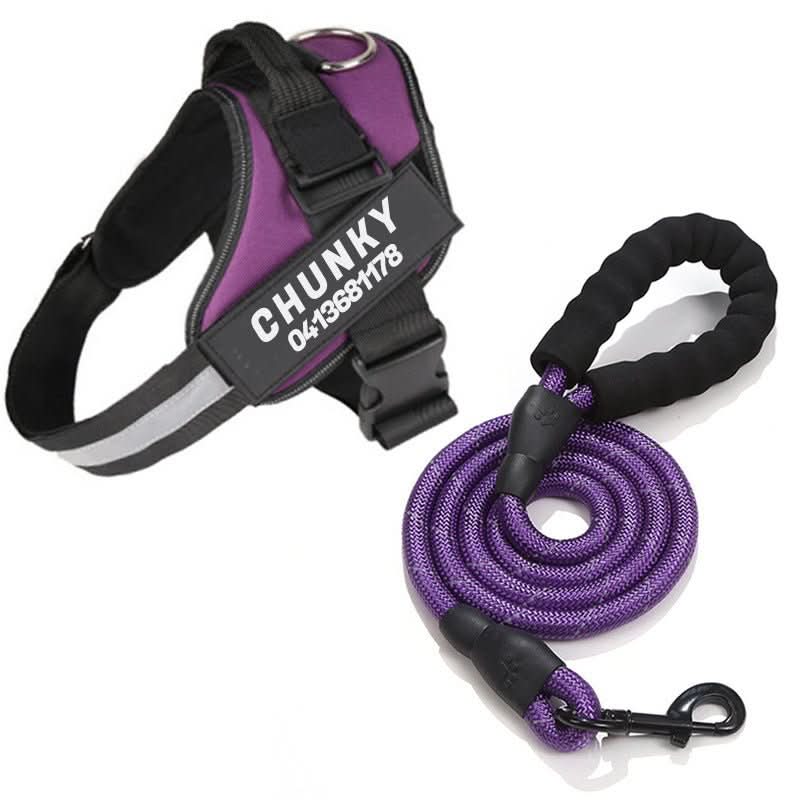 SafePaw Personalizable Dog Harness For Comfort And Safety