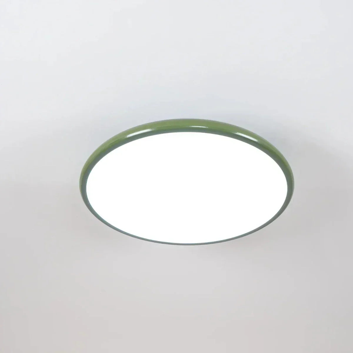 LED Ceiling Light Fixture With Round Metal Frame, 12-Inch Diameter | Rosalyssa