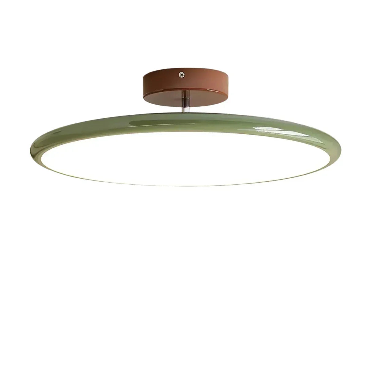 LED Ceiling Light Fixture With Round Metal Frame, 12-Inch Diameter | Rosalyssa
