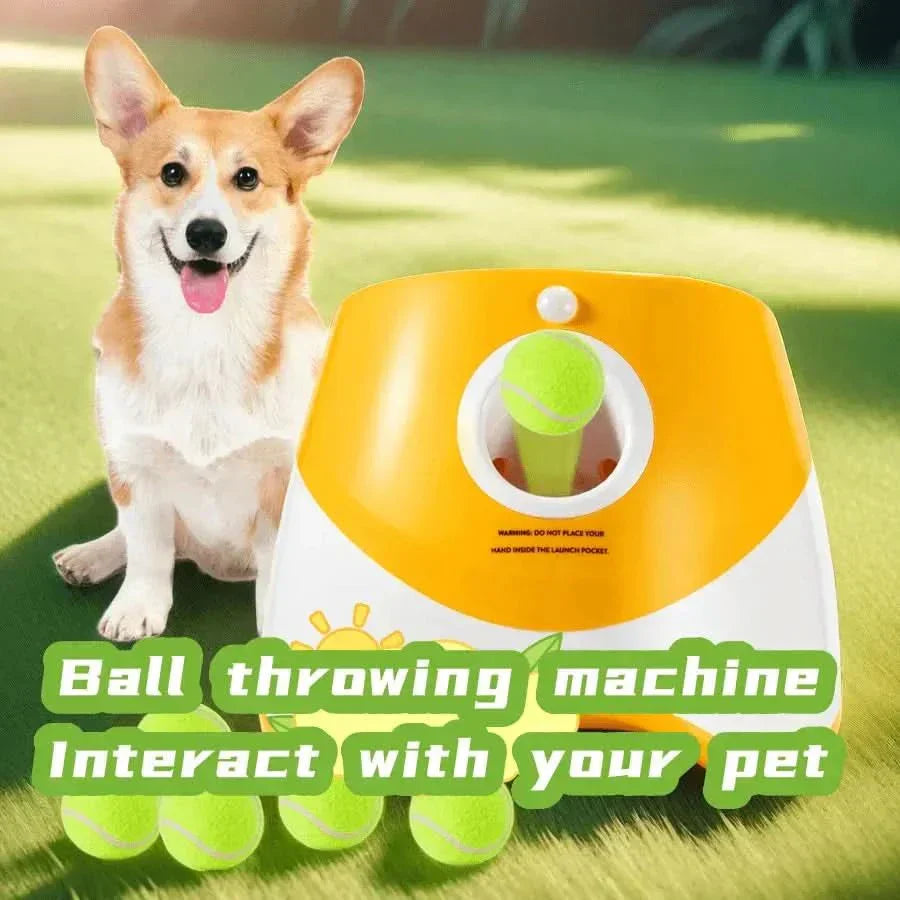 FetchMate automatischer Ballwerfer - wiederaufladbares Hundespielzeug