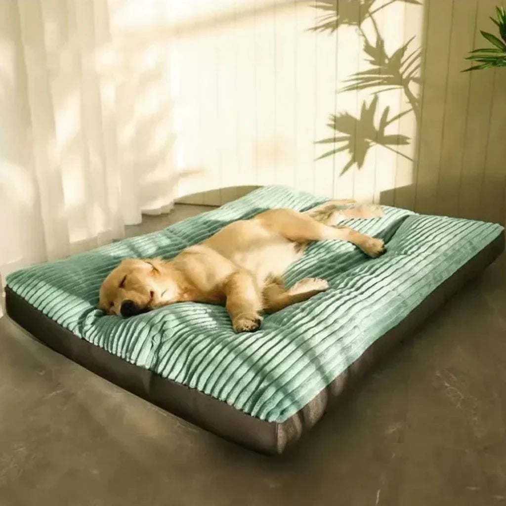 LunaNest Lit Orthopédique pour Chien Confortable et Soutenant pour des Nuits Reposantes