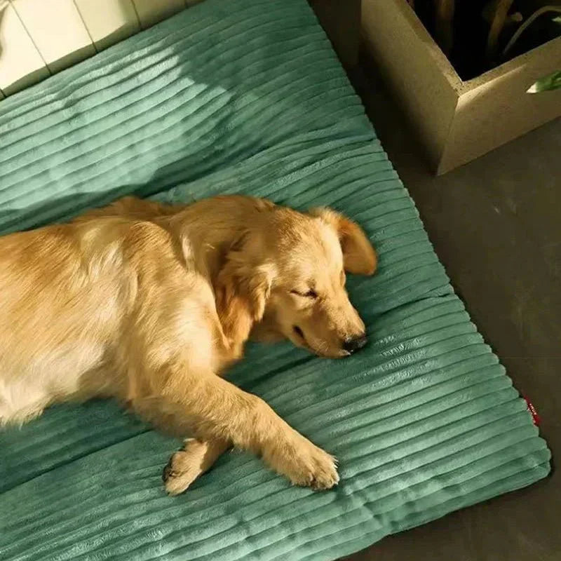 LunaNest Lit Orthopédique pour Chien Confortable et Soutenant pour des Nuits Reposantes