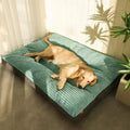 LunaNest Lit Orthopédique pour Chien Confortable et Soutenant pour des Nuits Reposantes