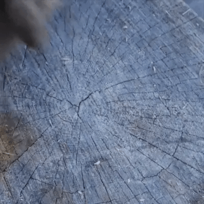 TimberForge Pro Log Splitter For Efficient Wood Chopping