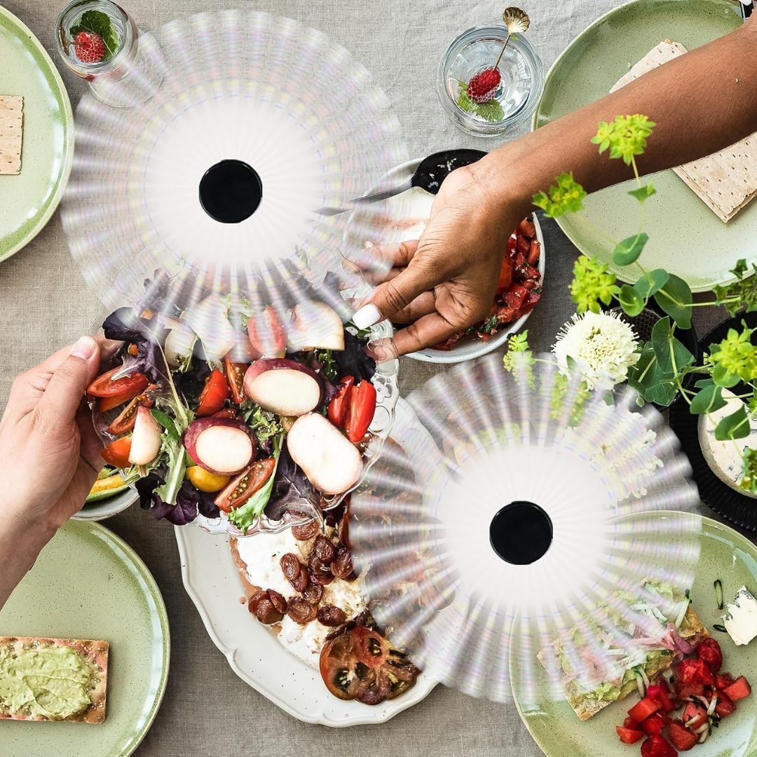 Outdoor Table Fan With Fly Repellent Battery Powered Portable