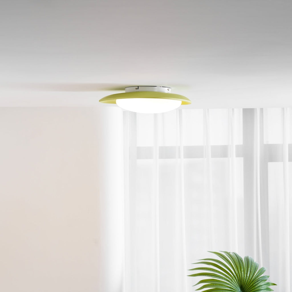 Oválné stropní svítidlo z pryskyřice, stmívatelné LED, zelené nebo béžové, 3000K-6000K, 36 cm nebo 46 cm