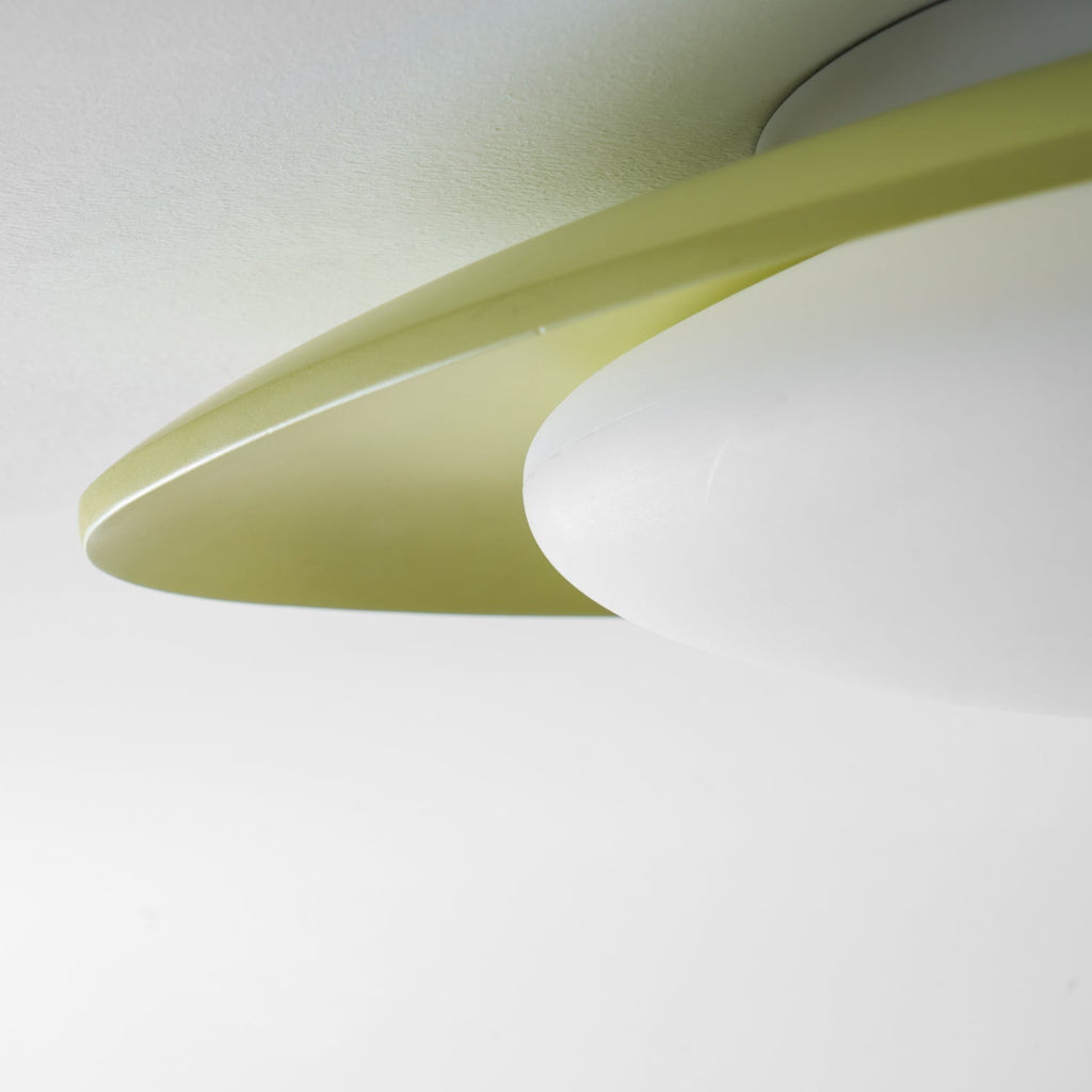 Oválné stropní svítidlo z pryskyřice, stmívatelné LED, zelené nebo béžové, 3000K-6000K, 36 cm nebo 46 cm