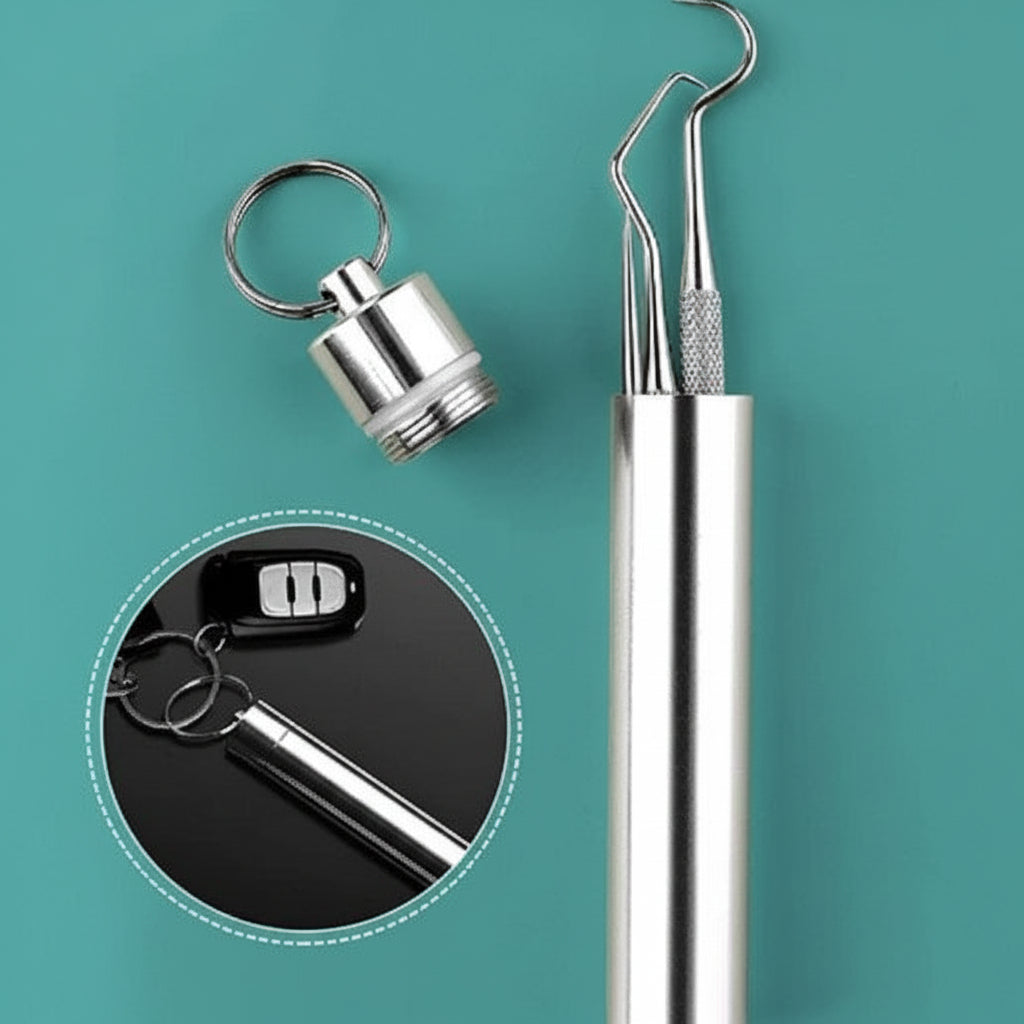 Portable Toothpick Set With Reusable Metal Toothpicks In Travel Case