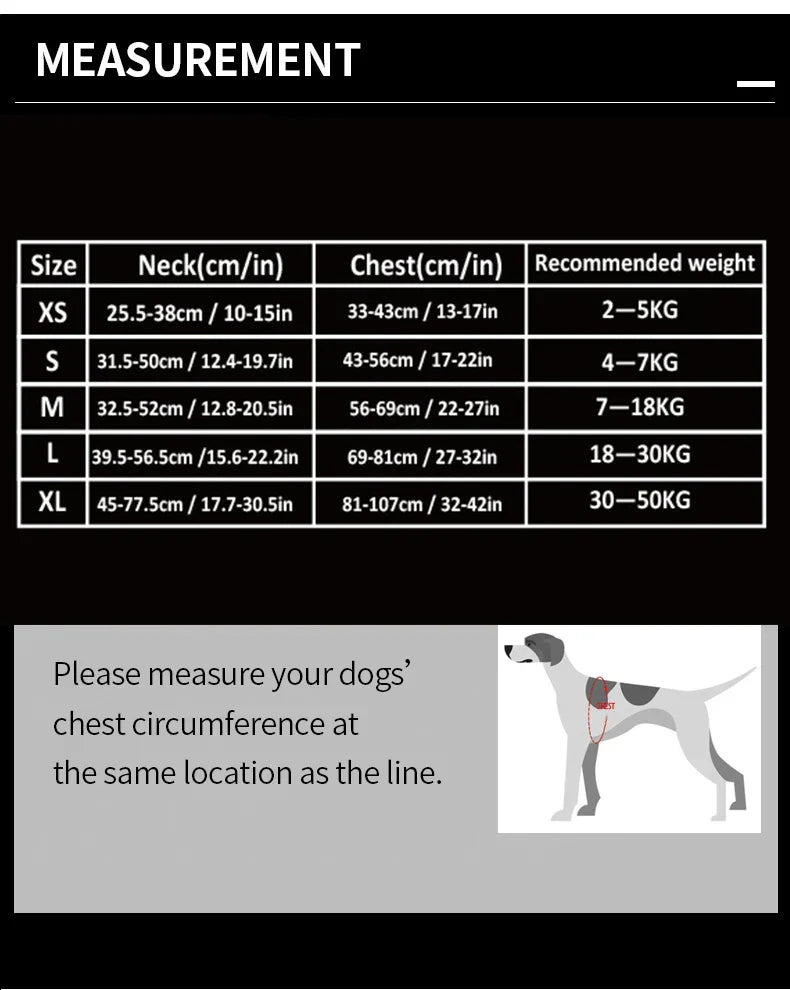 BrightPath No-Pull Harness With Reflective Nylon For Daily Walks