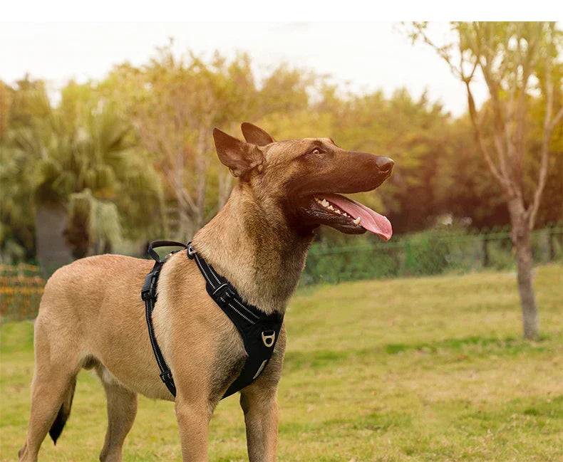 BrightPath No-Pull Harness With Reflective Nylon For Daily Walks