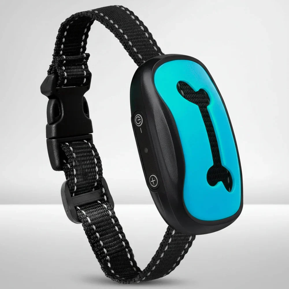 Rechargeable USB Dog Training Collar With Adjustable Fit