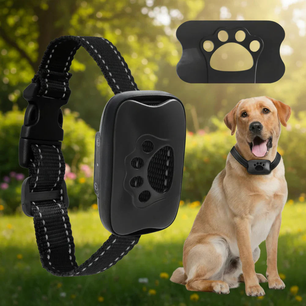 Rechargeable USB Dog Training Collar With Adjustable Fit