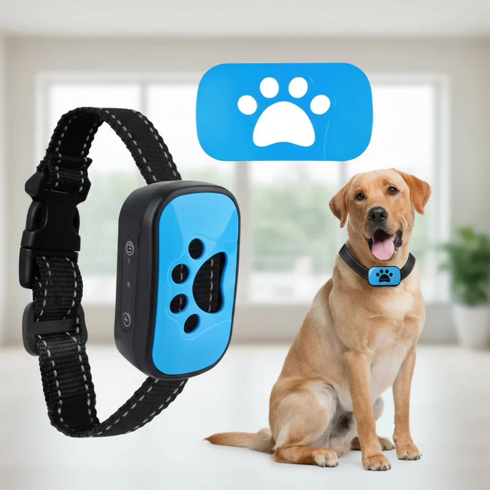 Rechargeable USB Dog Training Collar With Adjustable Fit