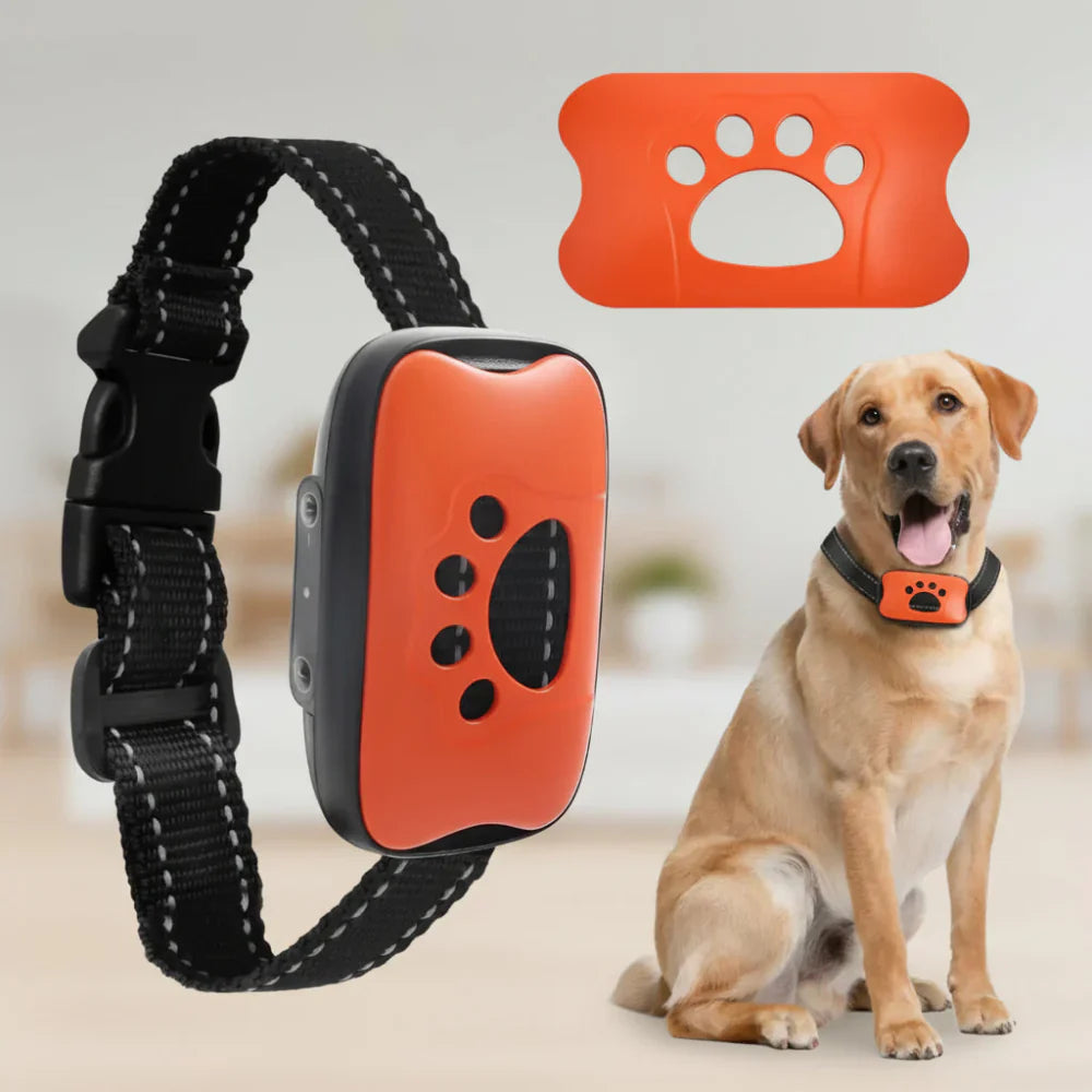 Rechargeable USB Dog Training Collar With Adjustable Fit