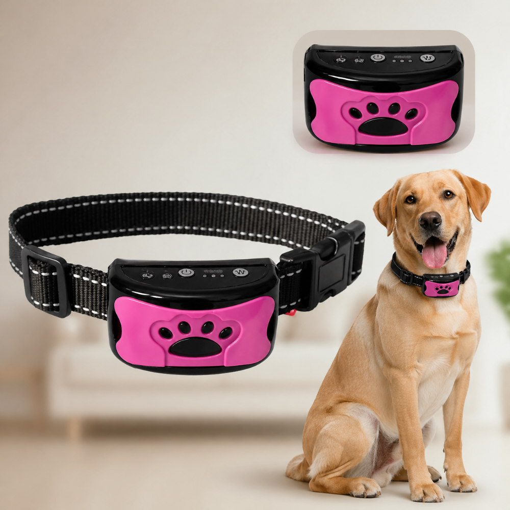 Rechargeable USB Dog Training Collar With Adjustable Fit