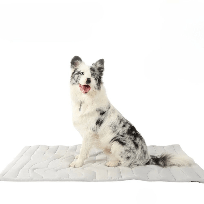 CoolPaws Self Cooling Dog Mat For Hot Summer Days Outdoor