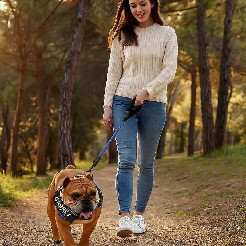 SafePaw Personalizable Dog Harness For Comfort And Safety