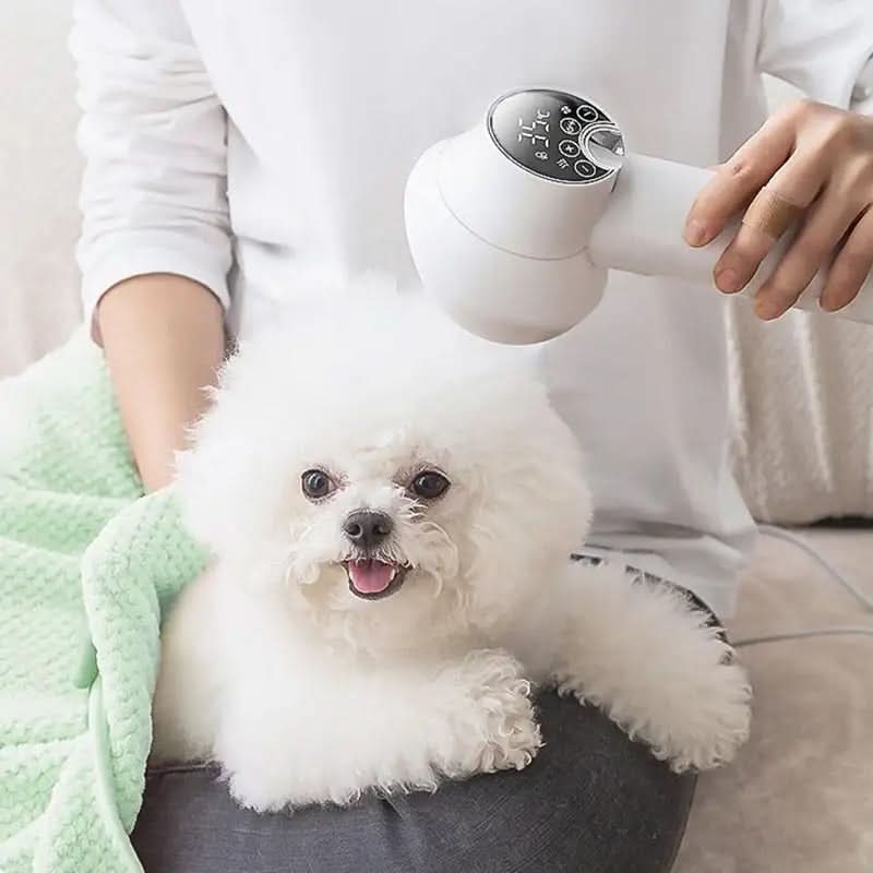 CalmGroom Quiet Hair Dryer With Ion Technology For Pets
