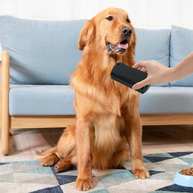 Kæledyrsafløsningsbørste – Underuldsværktøj til katte og hunde