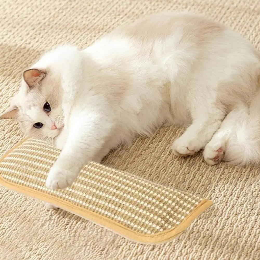 Cozy Cat Pillow With a Sturdy Long Lasting Scratching Surface