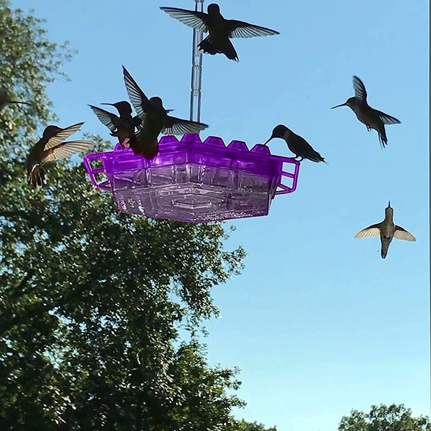 Karmnik dla kolibrów do zawieszania na zewnątrz z miejscem do siedzenia dla ptaków, dekoracja ogrodowa