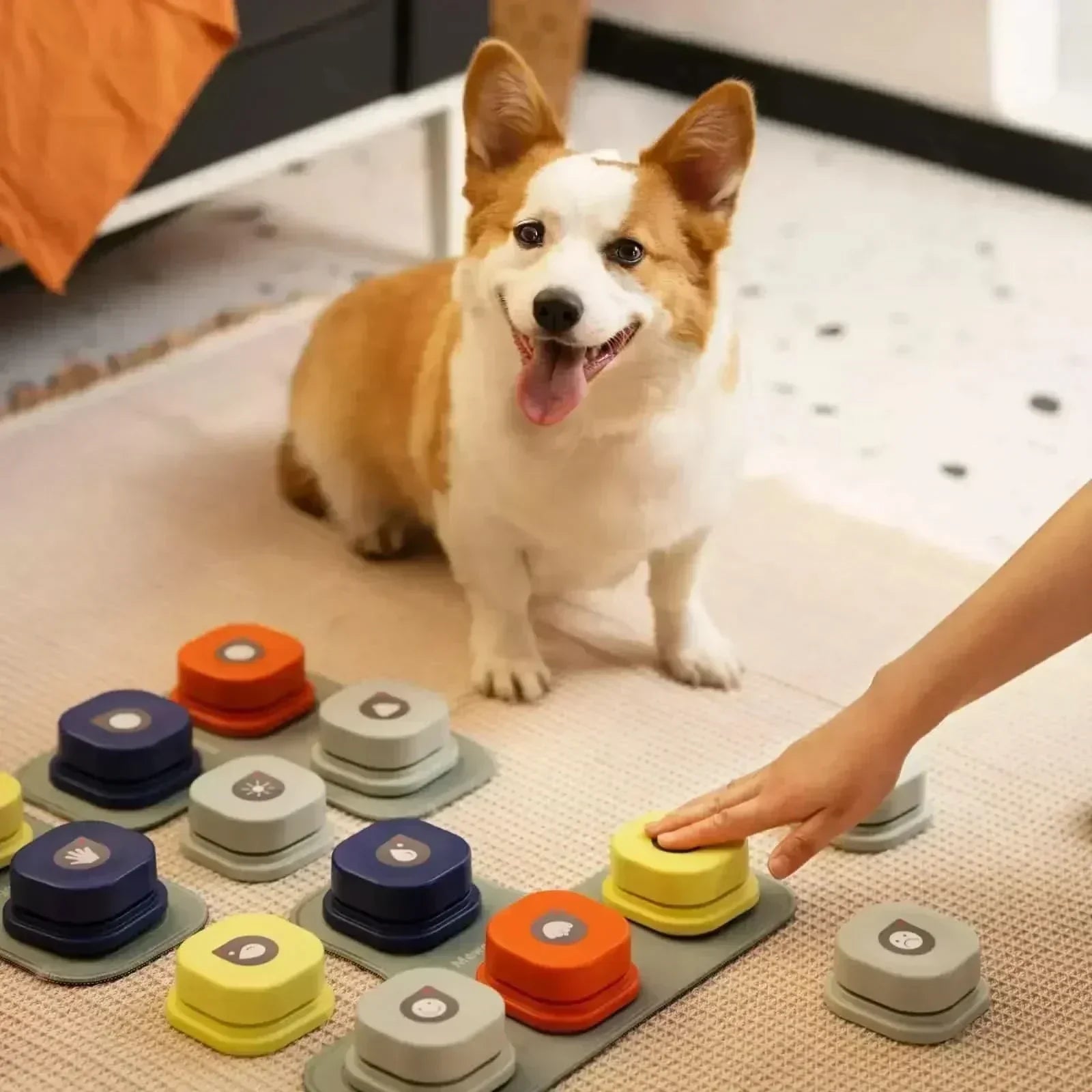 כפתורי תקשורת אינטראקטיביים PawLink לכלבים עם הקלטה