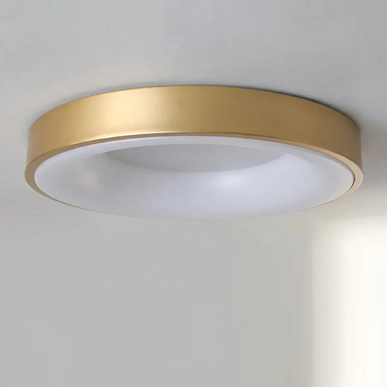 Flush Mount Ceiling Light With Hollow Centre LED Design | Rosalyssa