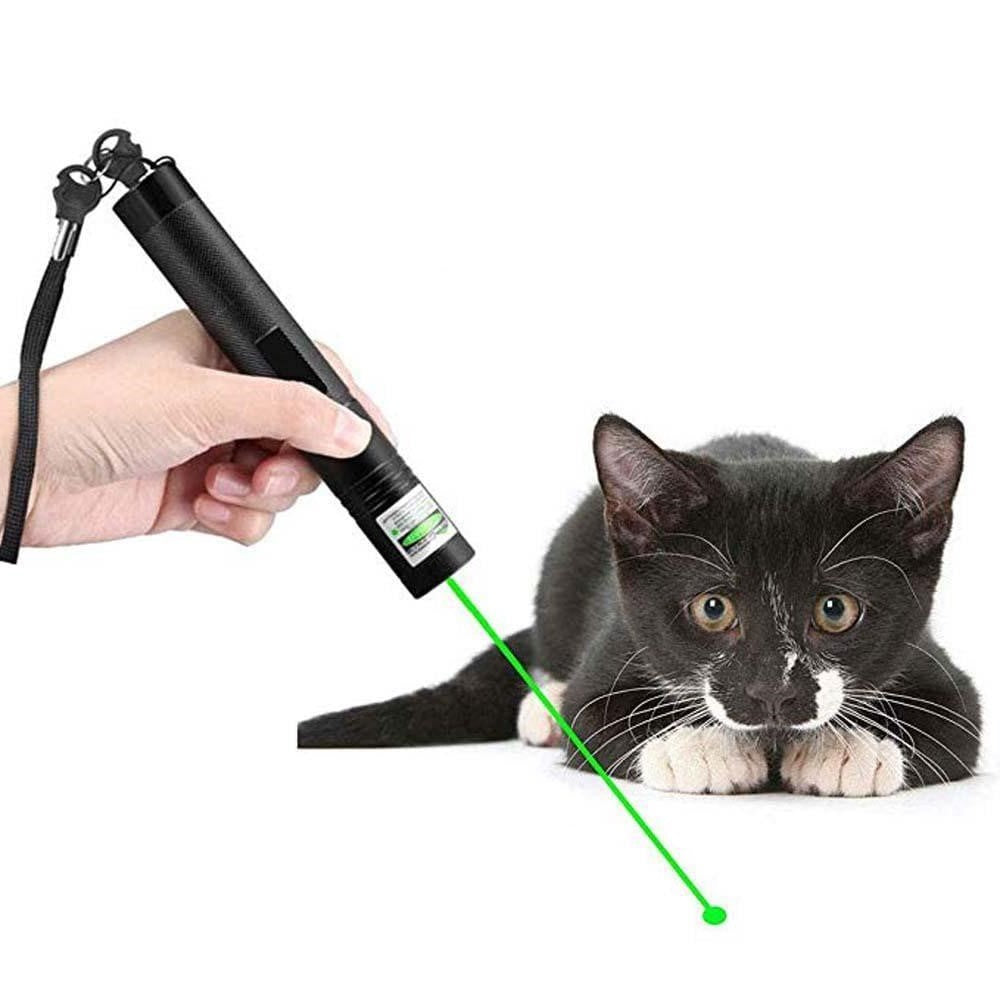 NovaBeam 303 High-Output Green Laser Pointer For Precise Positioning