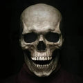 Mască de Craniu Realistă de Halloween cu Maxilar Mobil pentru Sperieturi și Petreceri