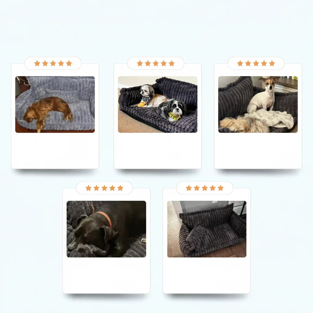 Sofá Cama Grande para Perro con Bordes Elevados y Funda Lavable