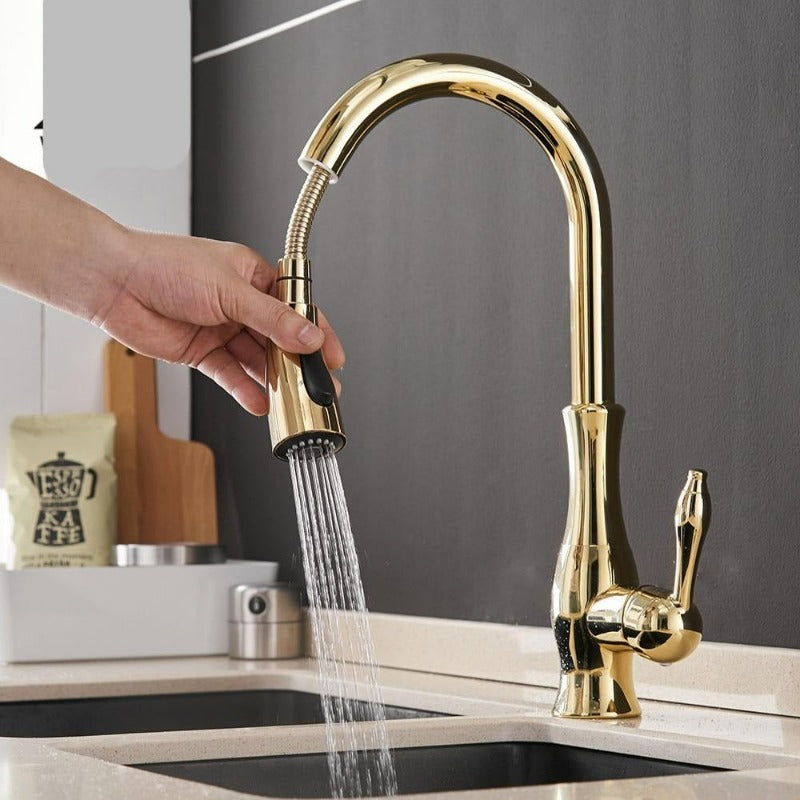 NovaFlow Modern Kitchen Faucet With Pull-Out Spray