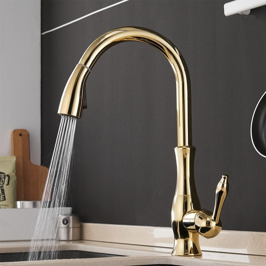 NovaFlow Modern Kitchen Faucet With Pull-Out Spray