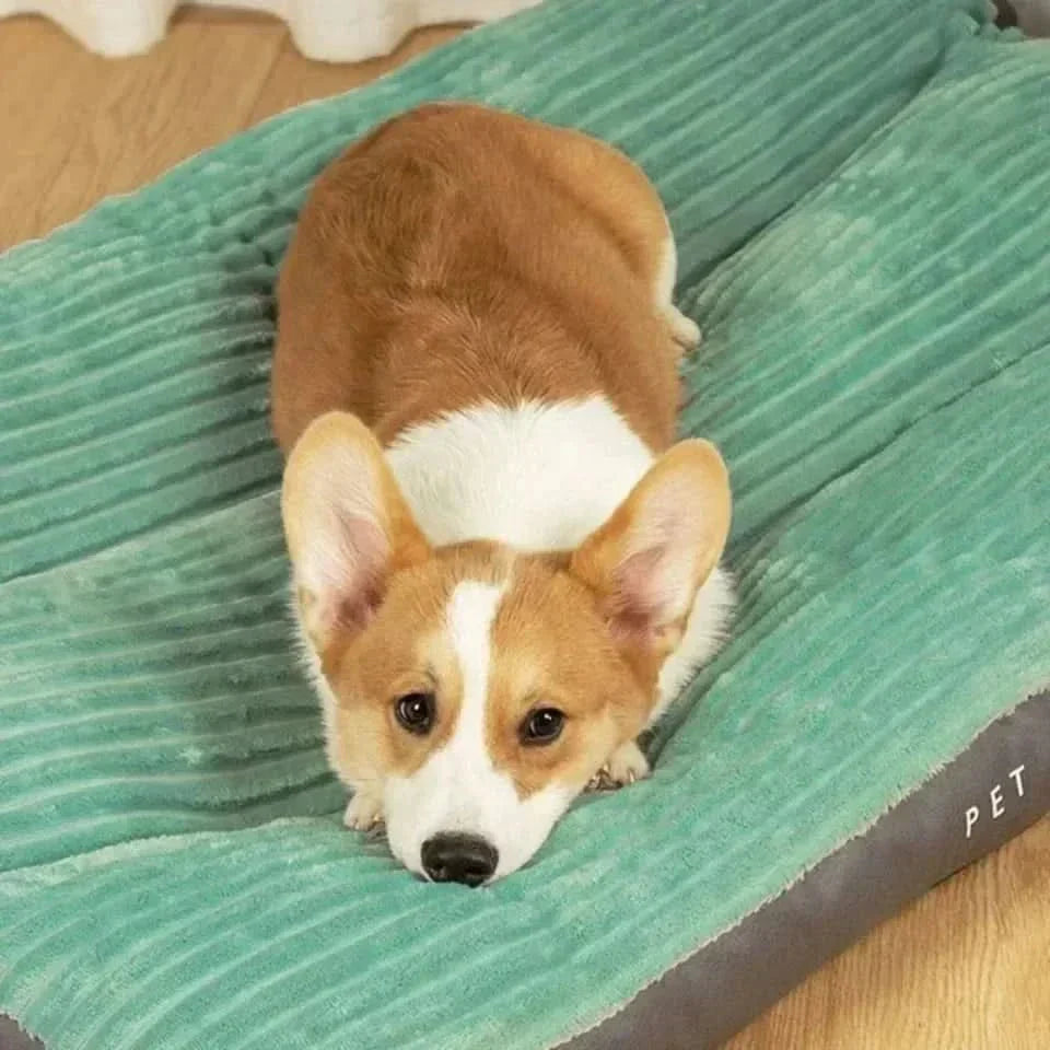 LunaNest Lit Orthopédique pour Chien Confortable et Soutenant pour des Nuits Reposantes