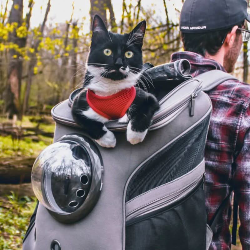 VistaPaw Faltbare Katzen-Reisetasche mit Panoramafenster und Komfortdesign