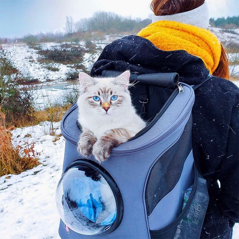 VistaPaw faltbare Katzen-Reisetasche mit Panoramafenster