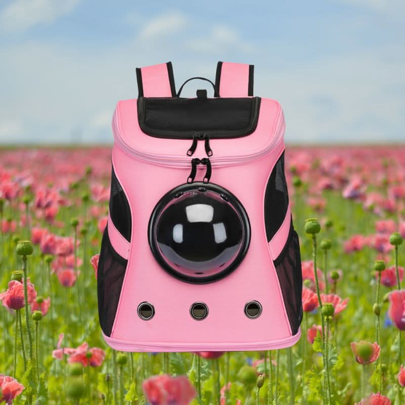 VistaPaw faltbare Katzen-Reisetasche mit Panoramafenster