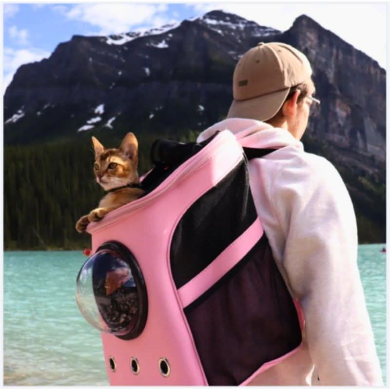 VistaPaw Faltbare Katzen-Reisetasche mit Panoramafenster und Komfortdesign