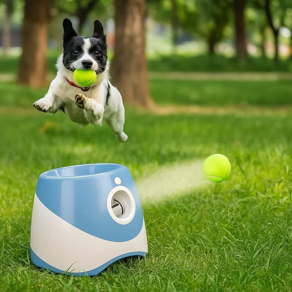 FetchMate automatischer Ballwerfer - wiederaufladbares Hundespielzeug