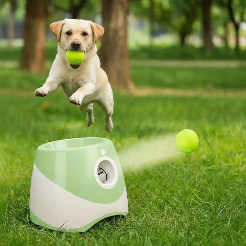 FetchMate automatischer Ballwerfer - wiederaufladbares Hundespielzeug