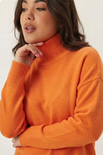 Pull Doux avec Col Roulé