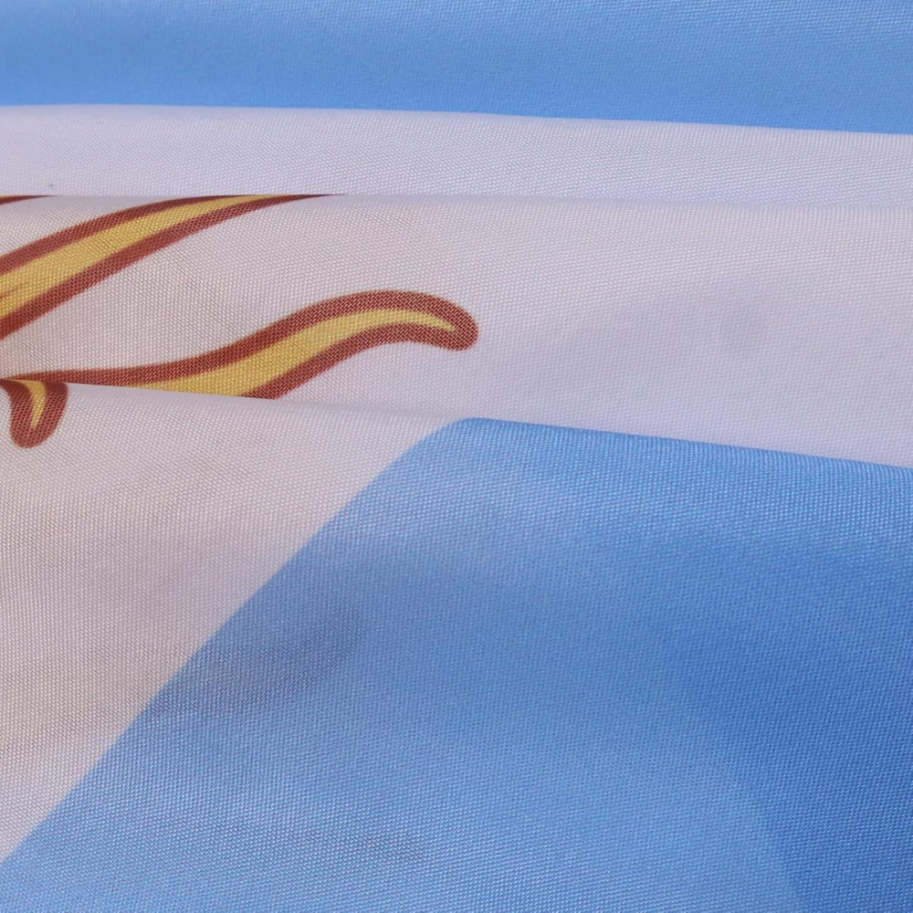 Argentina World Cup Hooded Flag Cape for Game Day Pride