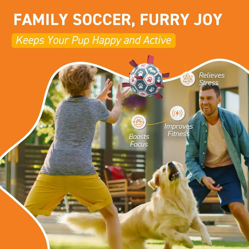 Juguete interactivo para perros con pelota de la Copa Mundial y agarre de cuerda de malla duradera